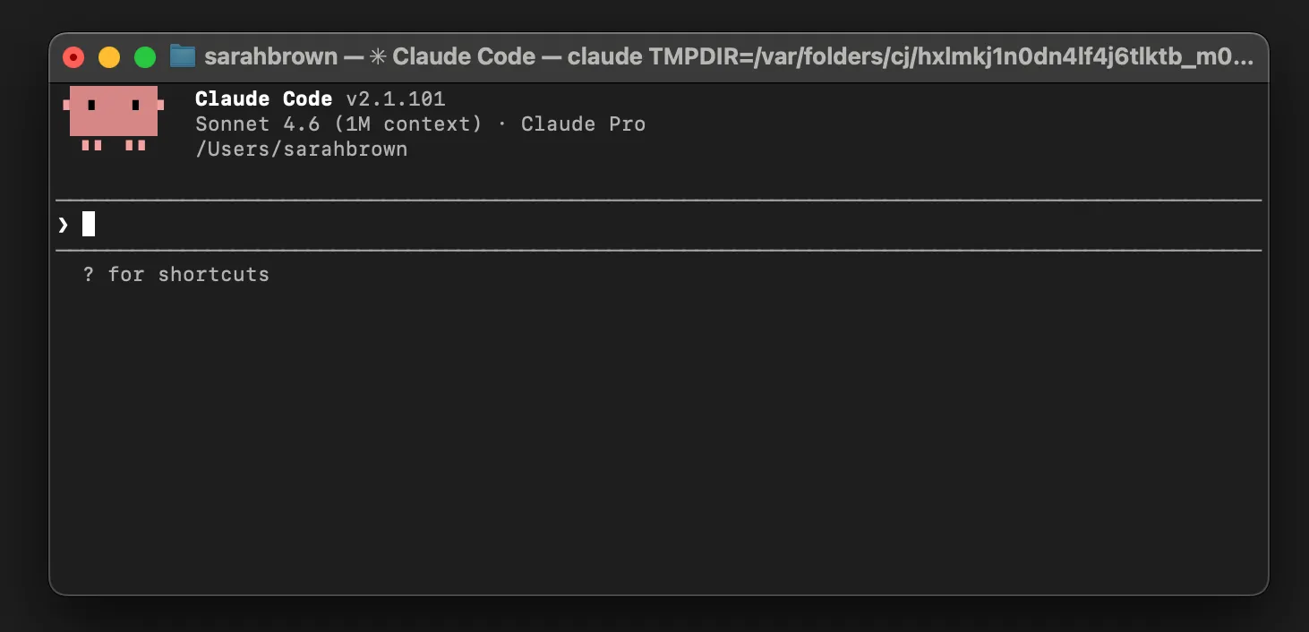 Claude Code welcome screen in the terminal